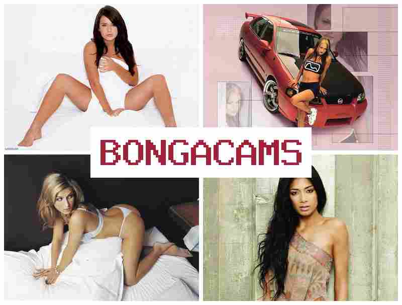 BONGACAMA 🎇 Milking Porn & Cute Showing Webcam BONGACAMA 🎇 Milking Porn & Cute Showing Webcam