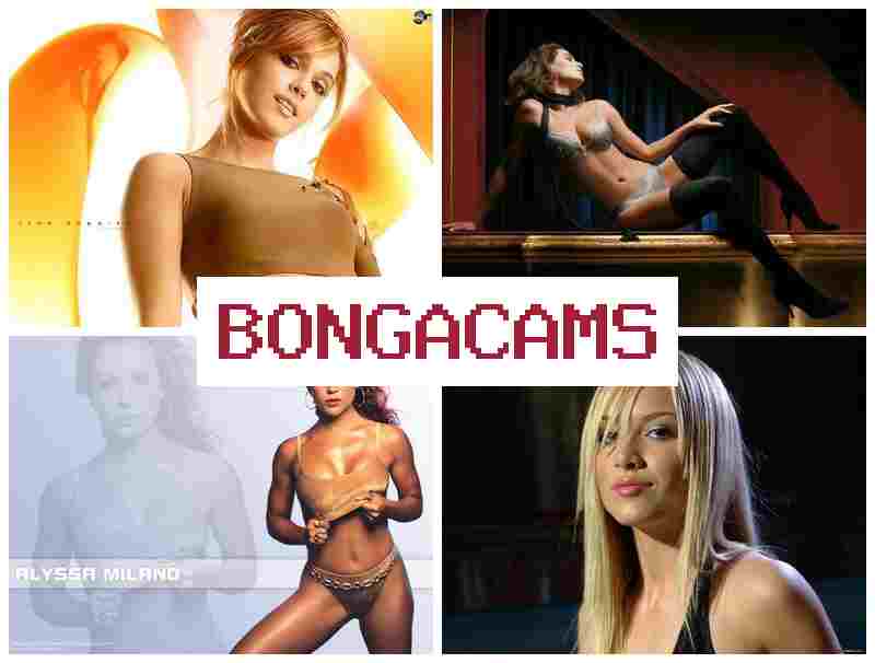 BONGACAMX 👧 Sfm Porn & Anal 4K COM Sex