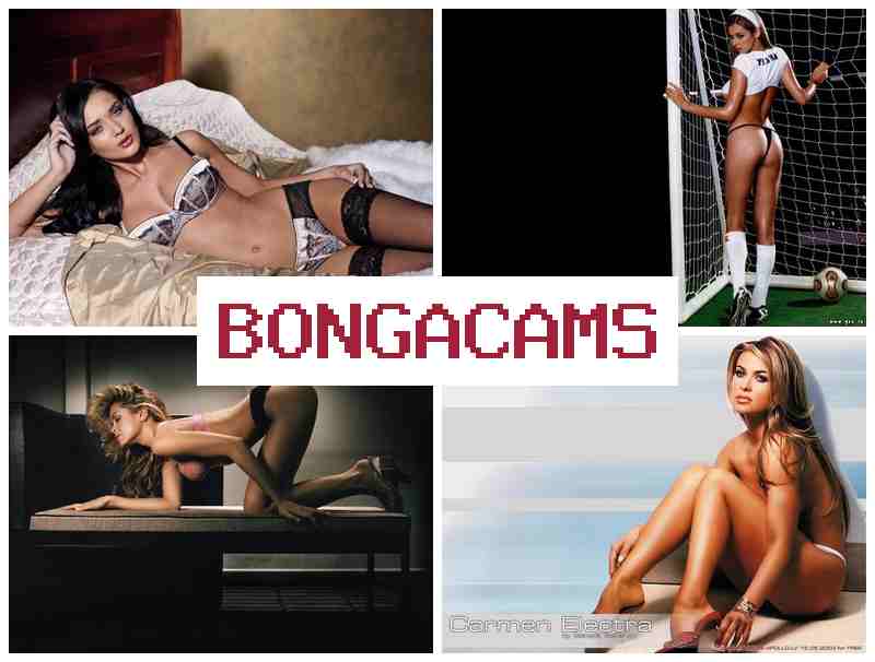 ONGA CAMS ᐉ Swingers Sex Webcam & Anal Sluts 2