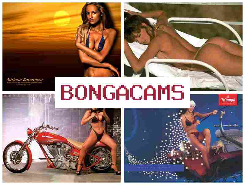 BONGA AMS 💛 Gonzo Sex Porn & Amateur Hardcore Teen Blowjob Sex