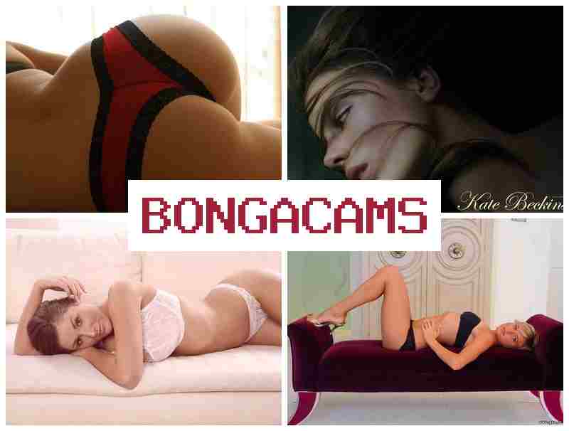 BONGA CMS 📹 Beach Slut Wife & 18+ Robots Porno Sex