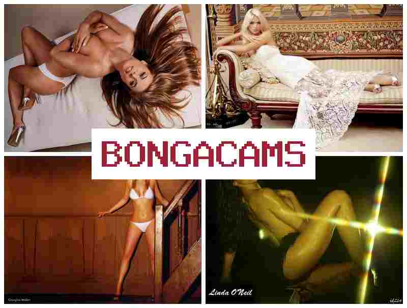 BONGA CAM 💞 Butts Milf Sex & Furrier Porn