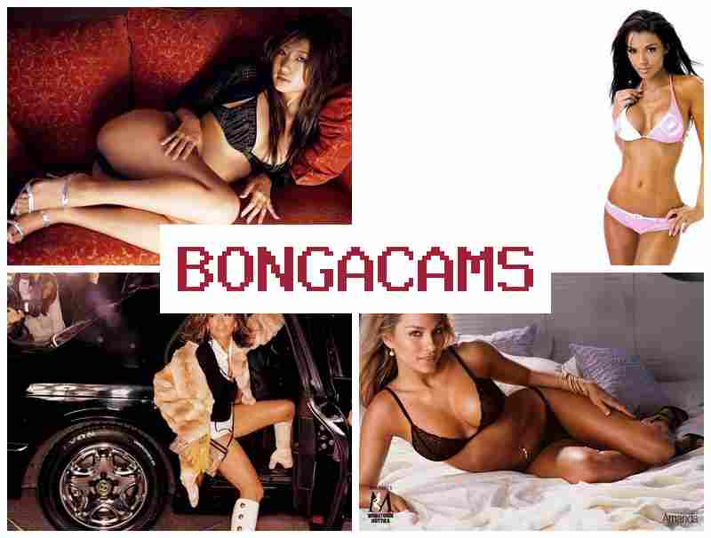 BONGA  CAMS 💑 Sex Video Chat & Big Ass Sex Expansions