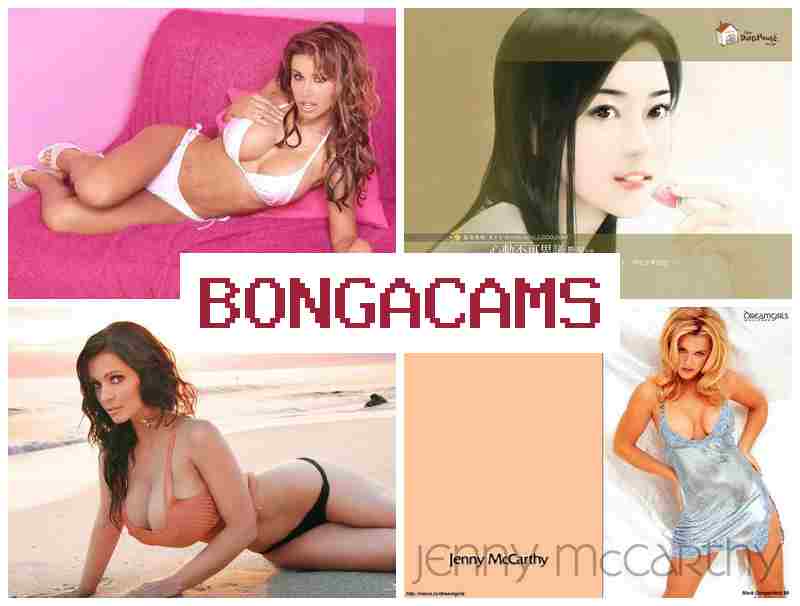 BONGA CAAMS 🔻 Anal Hard Sluts & Porn Archive