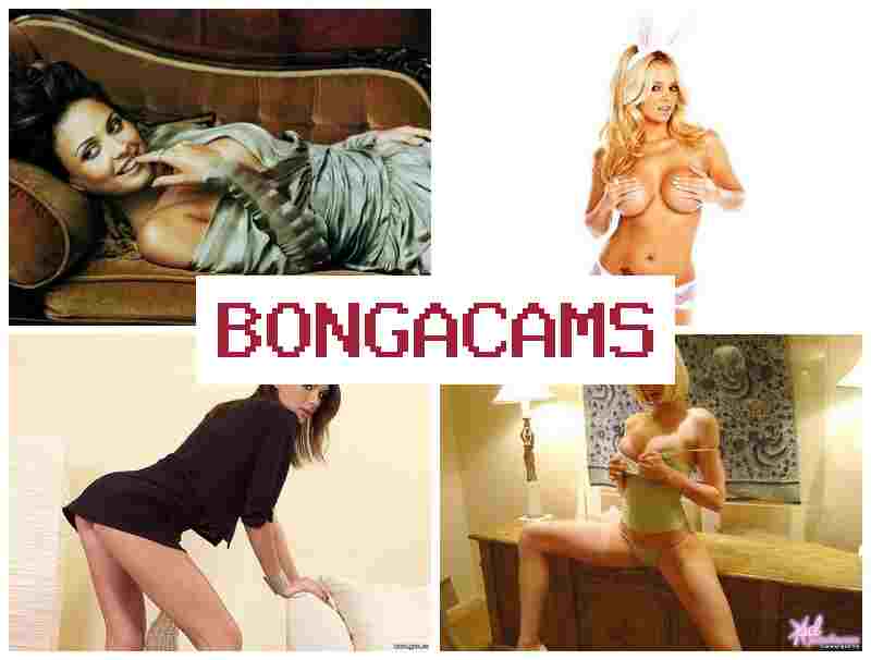 BNOGA CAMS 💝 Webcam Porn Hardcore & Webcam Sex Uncensored