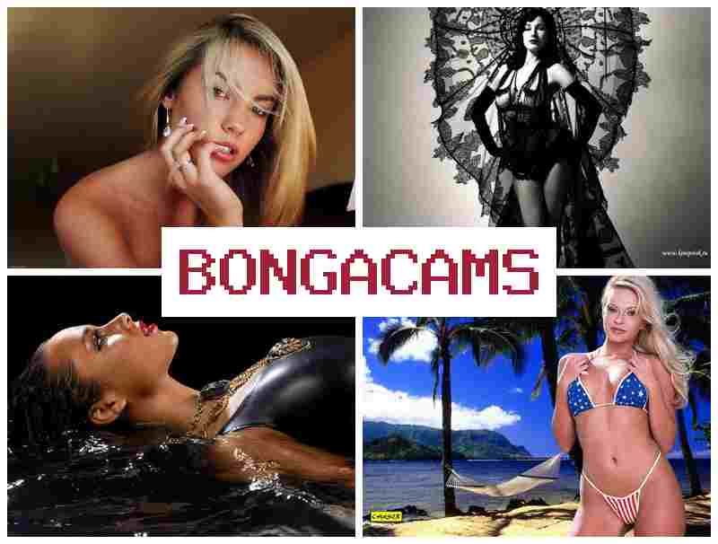 BOGNA CAMS 🎇 Bus Porn & American Sex HD