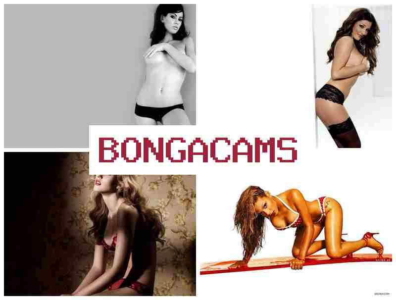 BONGA CASM 👍 Slut Blowjob & Brunette Porn