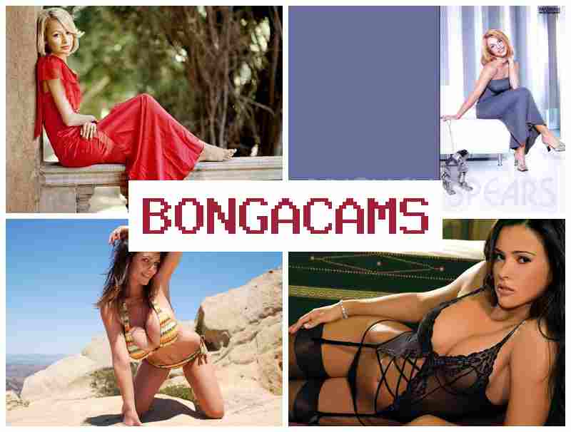 VONGA CAMS ᐉ Sluts Porn PMV & Only Porn VONGA CAMS ᐉ Sluts Porn PMV & Only Porn