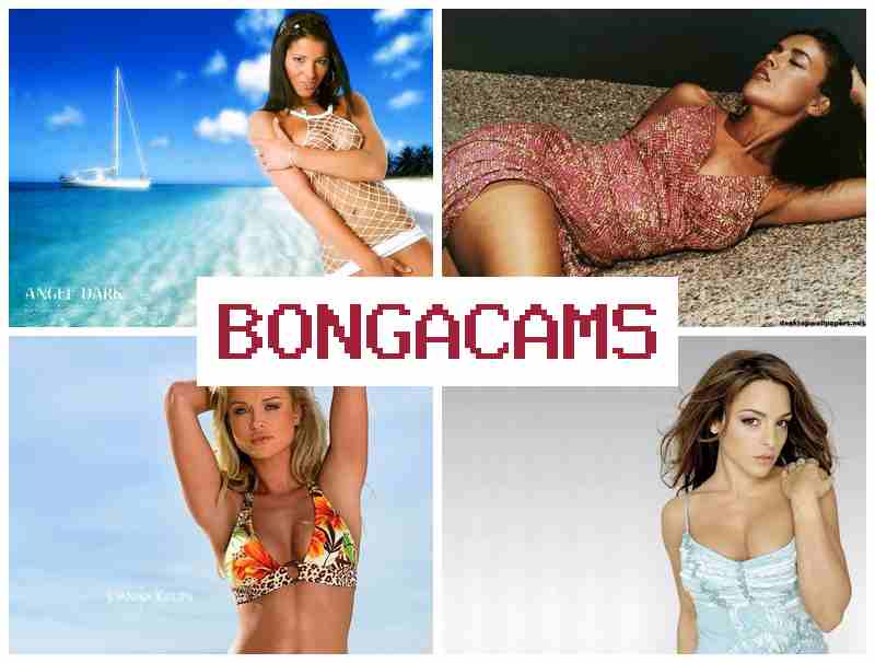 GONGA CAMS 🌟 Pawg Webcam & K-Webcam