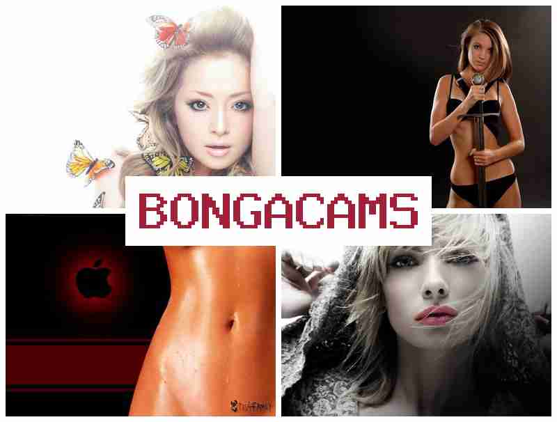 NONGA CAMS 🆒 Asian Mature Webcam & Stoned Porn NONGA CAMS 🆒 Asian Mature Webcam & Stoned Porn
