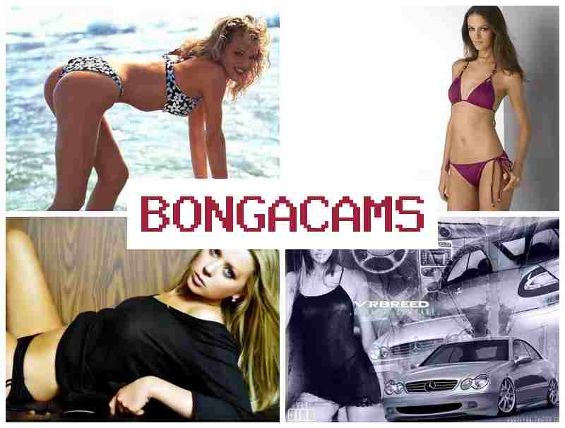 BINGA CAMS 🎥 Slut Org & French Anal Sluts 2 BINGA CAMS 🎥 Slut Org & French Anal Sluts 2