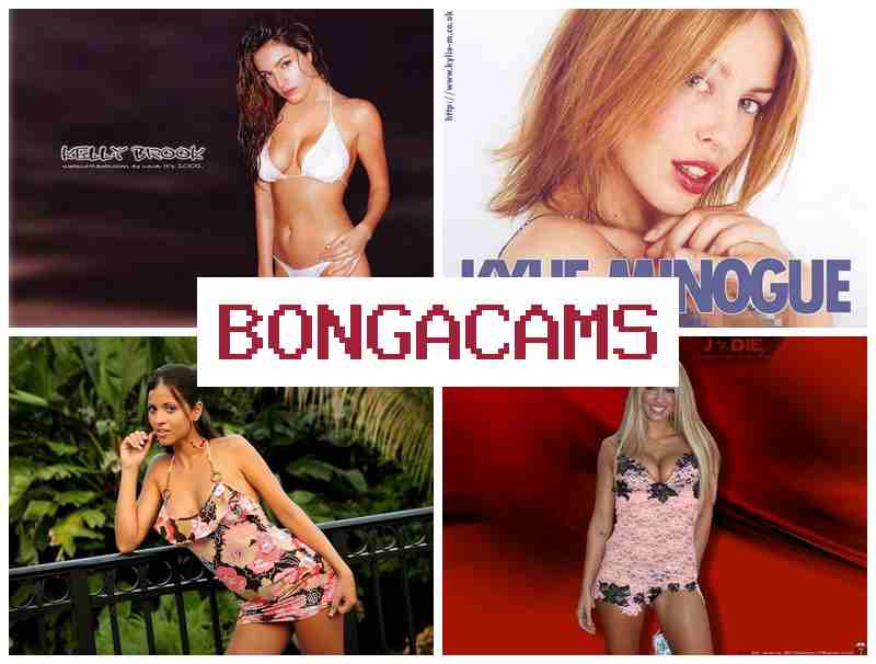 BOHGA CAMS 🔵 Slut Wife Stories & Anal Sex Clips