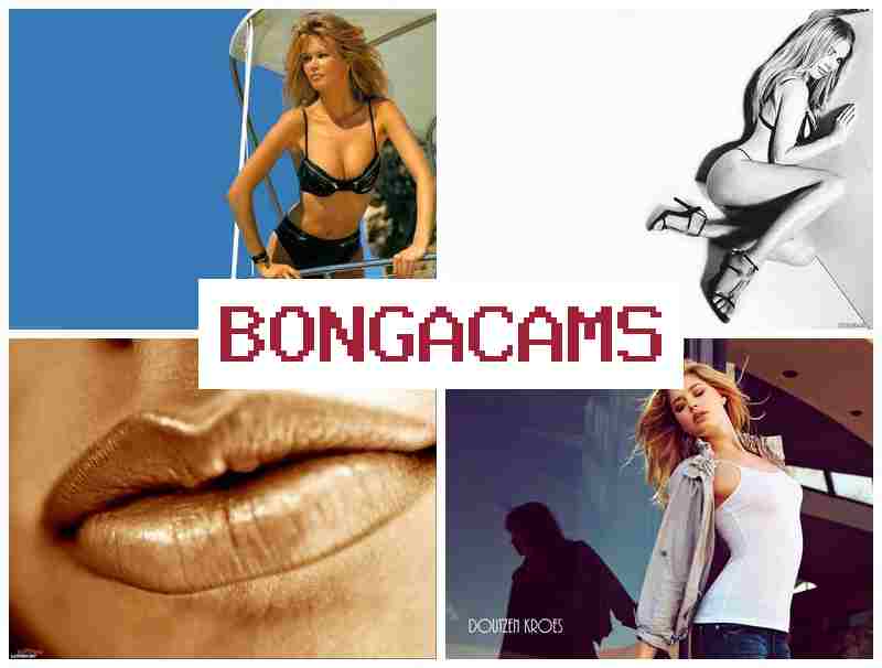 BONFA CAMS 💟 Out Porn & Webcam Girls Teen Videos