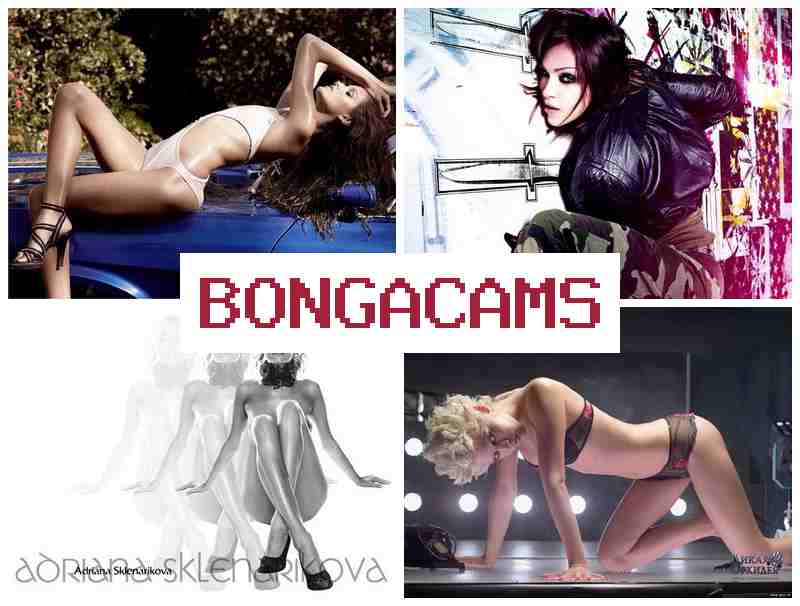 BONGZ CAMS 🔵 Curvy Teen Webcam & Webcam Babe Videos