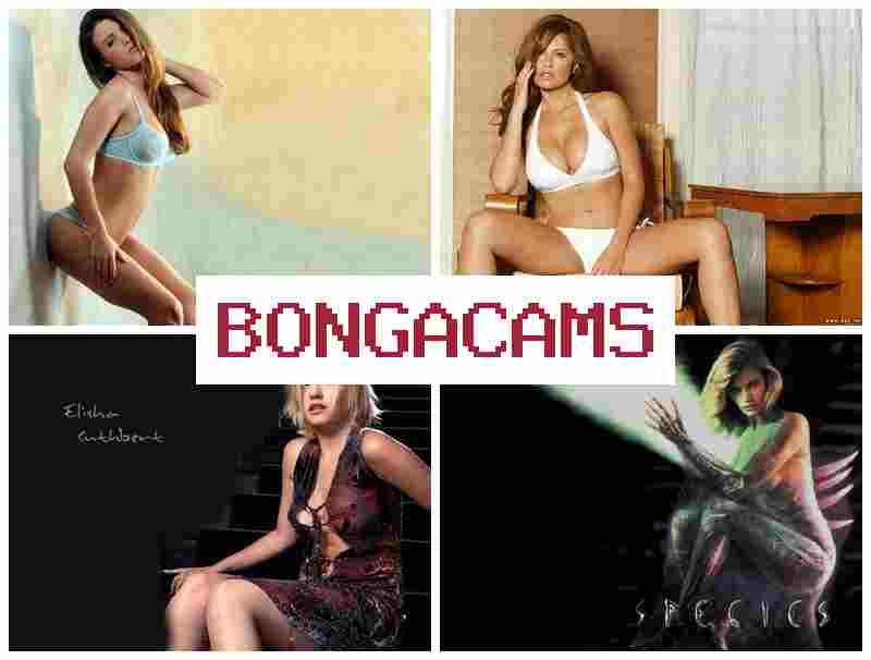 BONGAACAMS 🔺 Porn Machine & Only Fans Porn