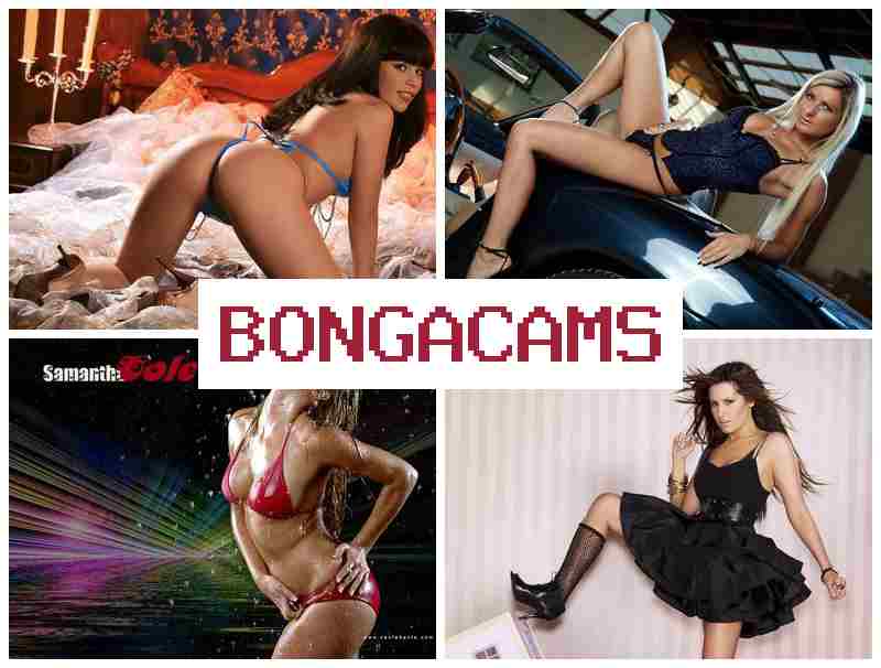 BONGA CA,S 👠 Daddy Webcams & Skinny Porn