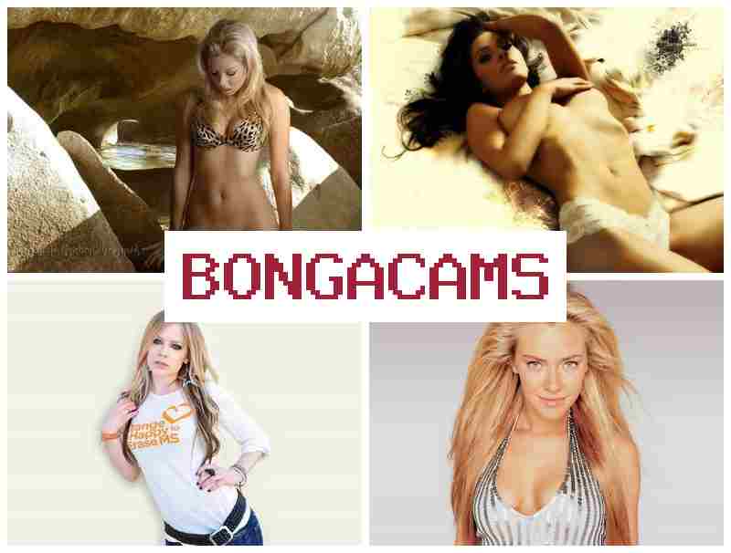 BONGA CAMD 🆓 Porno BBC Gangbang Slut & Elite Slut Porn