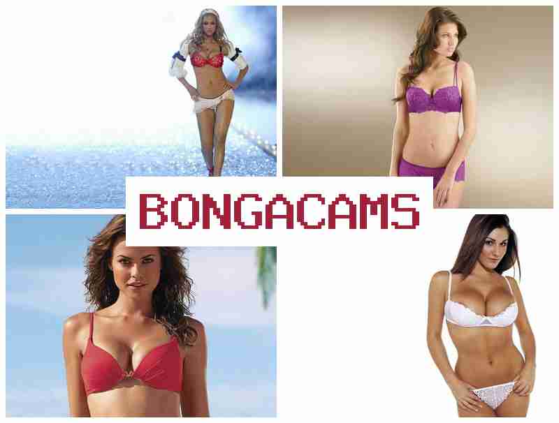 BONGACAAMS 🔵 Retro Porn & Webcam 03