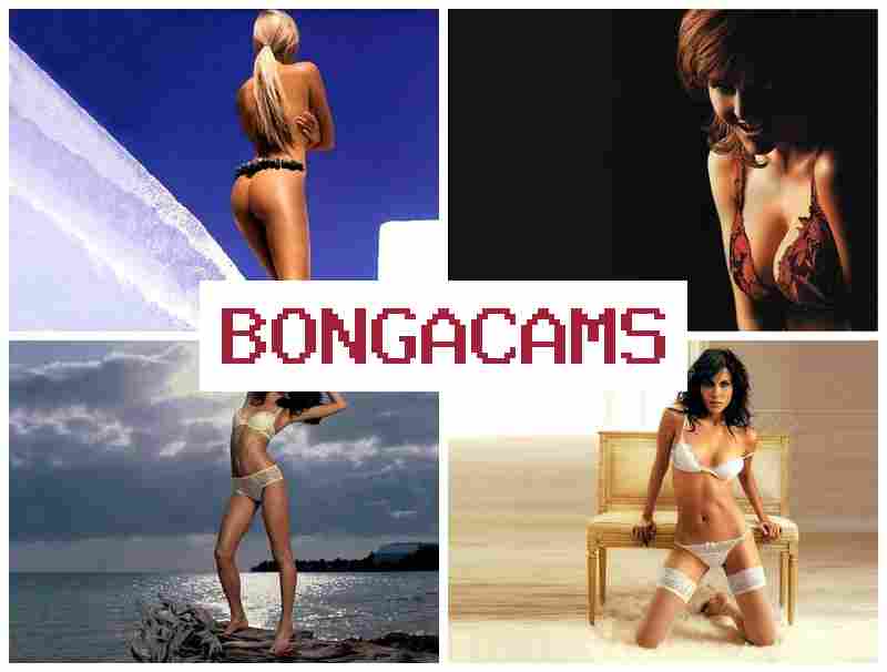 OBNGACAMS 💗 Daddy Anal Slut & Anal Porn