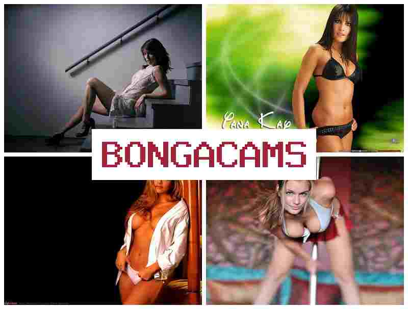 HONGACAMS 🔔 Rainbow Slut Royal Ass Porn & Selti Webcam Porno