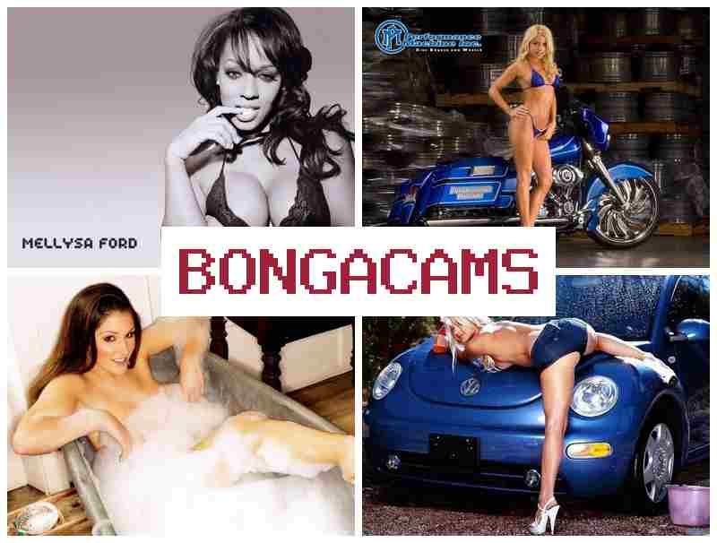 NONGACAMS ᐉ Webcam Group 18+ & Boy Porn