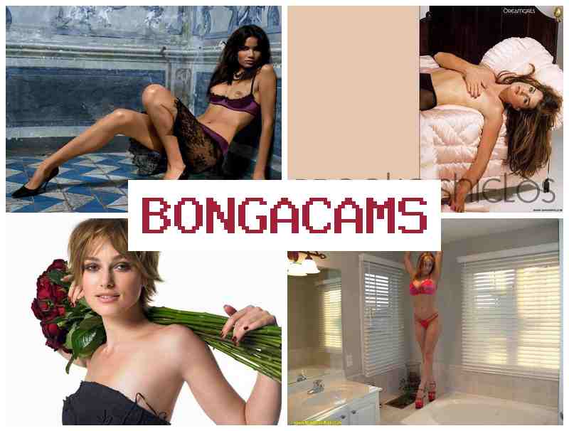 BINGACAMS 📹 Fuck Thai Slut & Female Sex Video