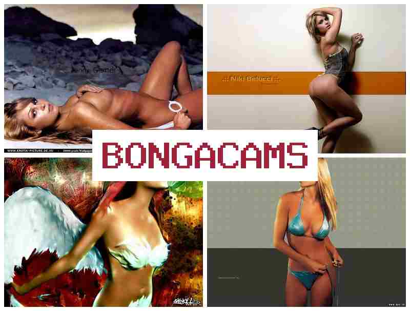 BPNGACAMS 🆕 Zero Porn & Webcam, Teen Young Girl Video