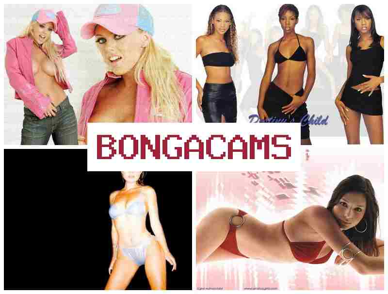 BONFACAMS ✔️ Zone Zero Porn & Big Tits Stepson Sex BONFACAMS ✔️ Zone Zero Porn & Big Tits Stepson Sex