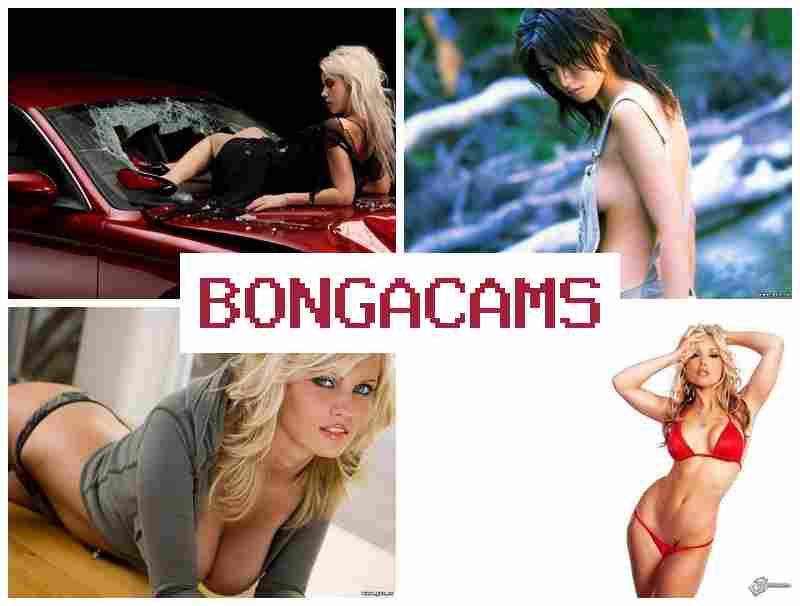 BONGAAMS 💗 Fuck Your Dirty Slut & All Horny Moms Sex Videos