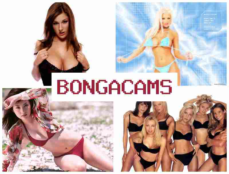 BONGACQMS 🔞 Girls Less Porn & Porn 3