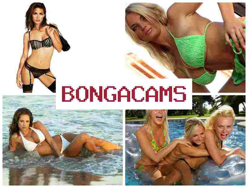 BONGACANS 💟 Free Son Sex & TGirl Fucks An Horny Latina Slut