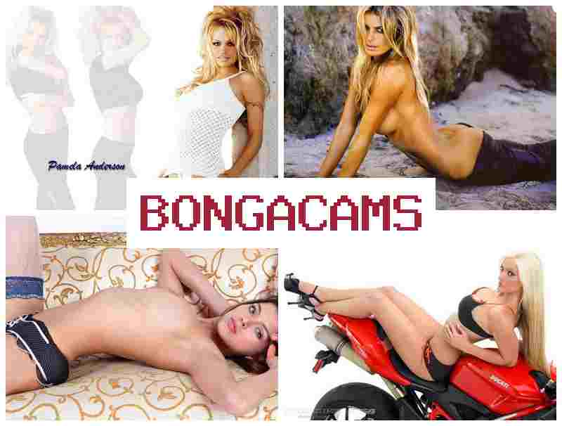 BONGACAMD 👍 Heart Porn & Big Ass Gang Bang Sex