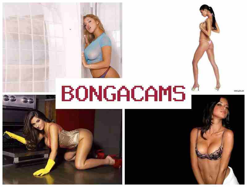 BONGACAS 🔵 Daddy Sex Film & Porn Comix