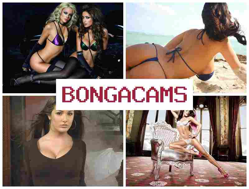 BONNGA CAMS 💚 Slut Anal Orgasm & Swap Slut