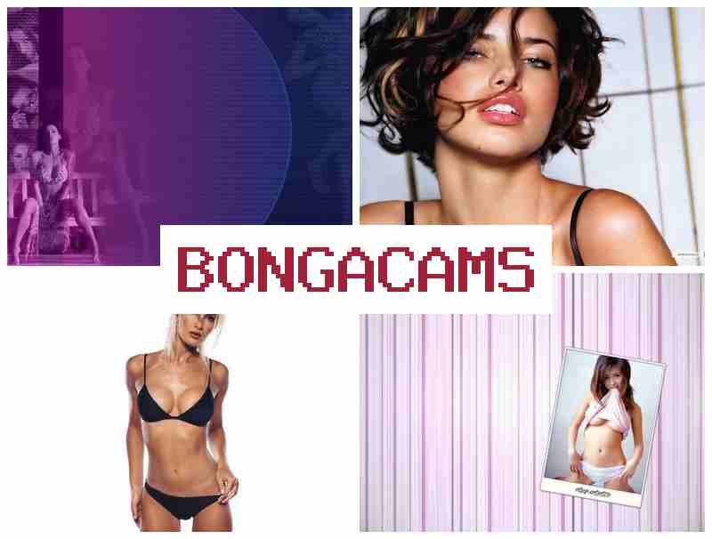 BONGA CAMSS ☑️ Hard Sex Real Porn & Slut Blow