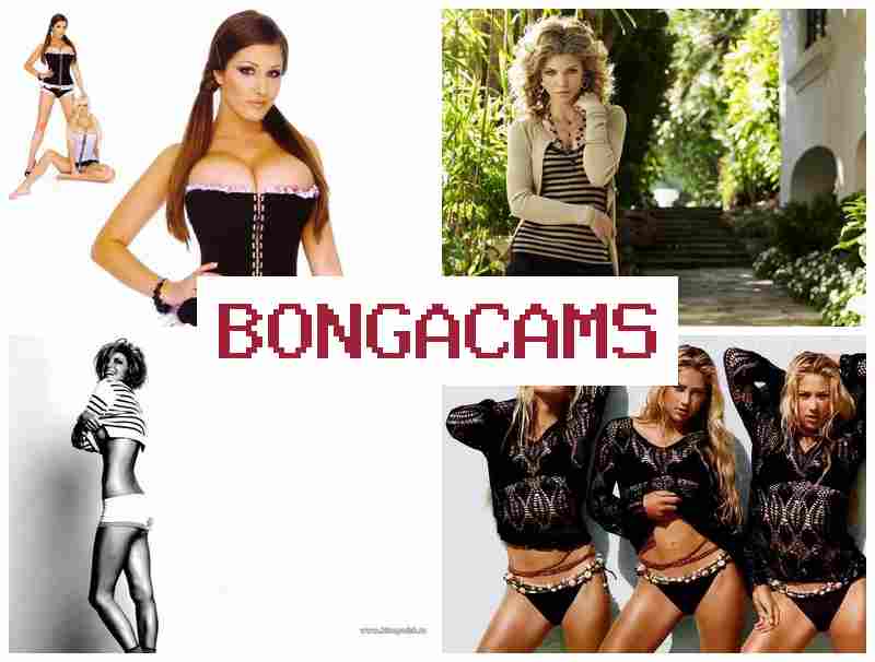 OBNGA CAMS 💯 Webcam, Teen Erotik Nudizm & 4K Slut Porn