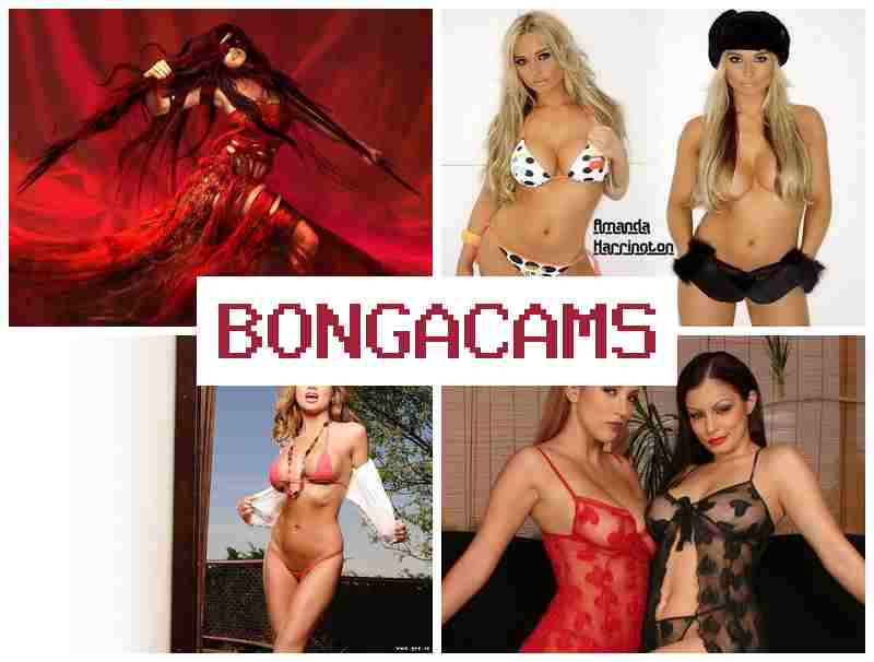 BBONGACAMS 🎇 Big Tit Anal, Webcam & Office Slut Fuck