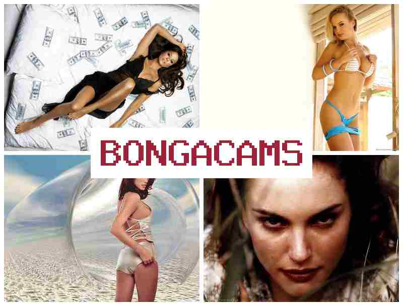 NONGA CAMS 💻 Brother Sister Webcam & Pleasure Webcam Video NONGA CAMS 💻 Brother Sister Webcam & Pleasure Webcam Video