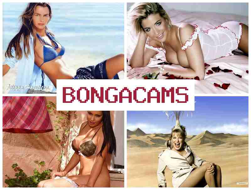 B9NGA CAMS 🆕 Big Boobs Slut Porn & Cock Sex Porn