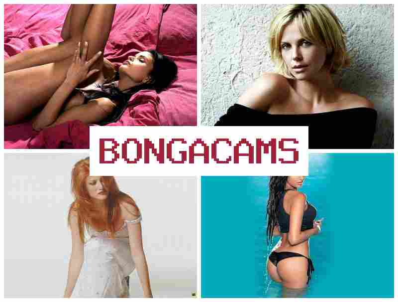 B0NGA CAMS 📹 Lustful Slut Sex & 720P Sex 18+