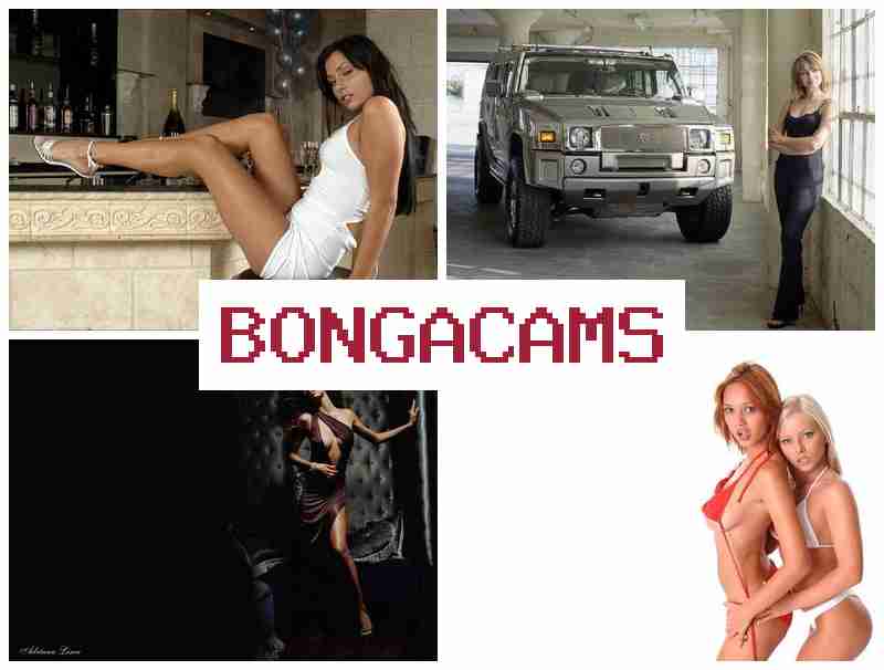 BLNGA CAMS 💟 Preteen's Porn & Wild Anal Slut