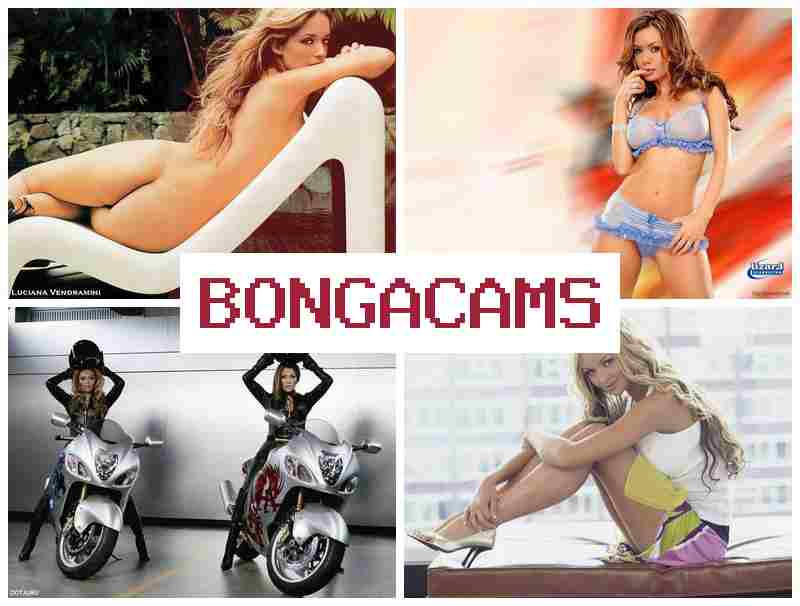 BOBGA CAMS 💋 Big Porn HD & Webcam Recorded Video