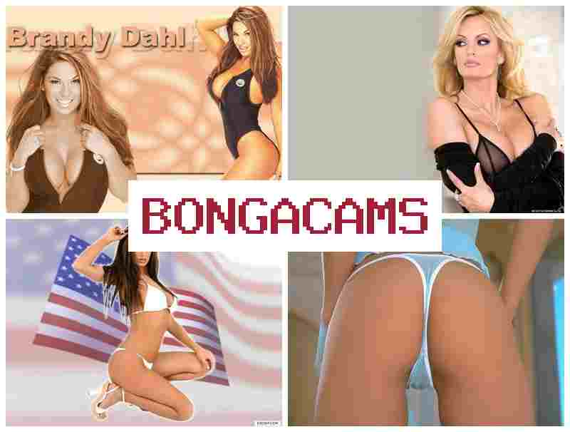 BOHGA CAMS 💕 Cuckold Porn & Candy Porn