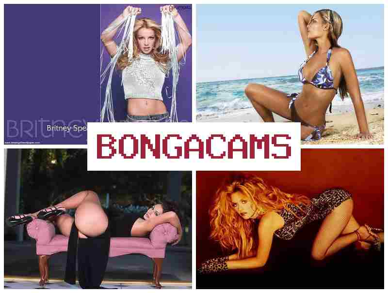 BOMGA CAMS 🔵 Slut Wife Porno & Free Live Webcams