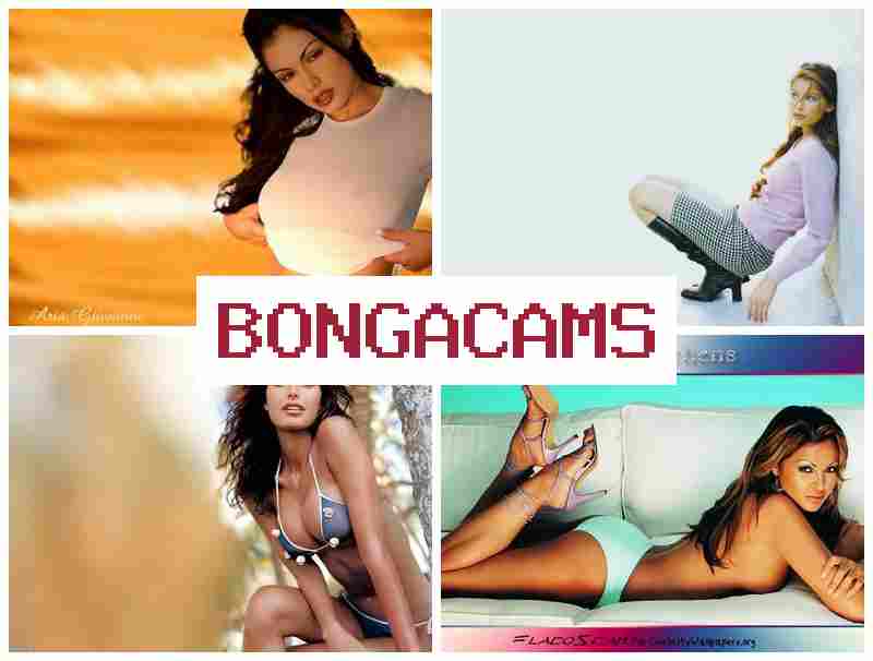 BONTA CAMS 💚 Gay Sex Porn & Jays Porn