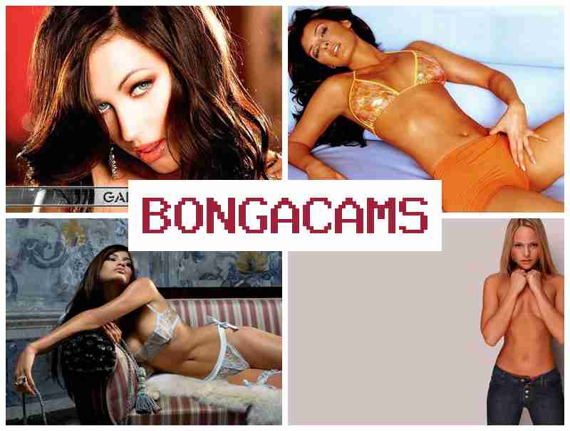 BONHA CAMS 😍 Big Tits, Webcams Video & Sex Teen Blowjob, Webcam