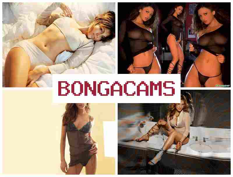 BONVA CAMS 💏 Sissy Porn & Slut Woman Fuck