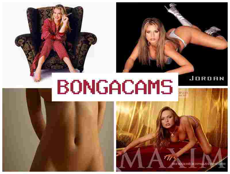 BONGA CWMS ▒ Hiding Porn & Faggot Sluts