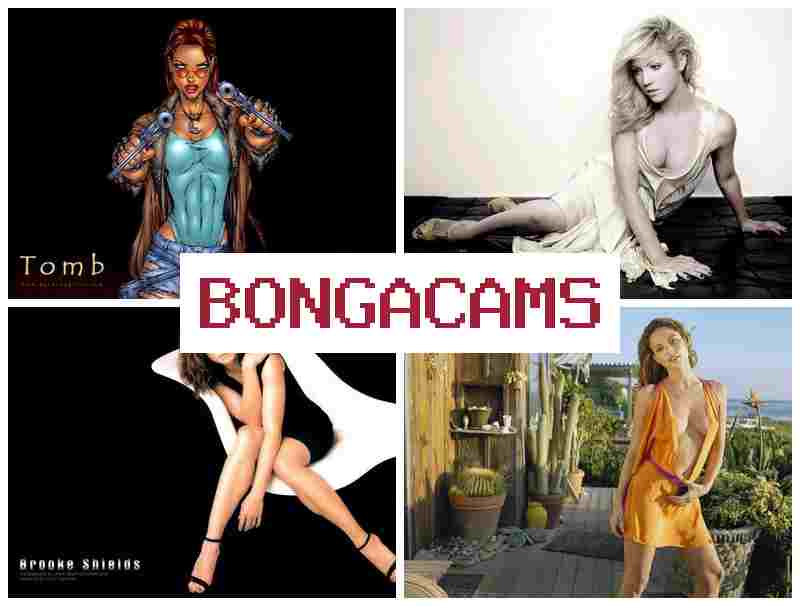 BONGA CZMS 🆕 Couple Webcams Video & France Milf Sex