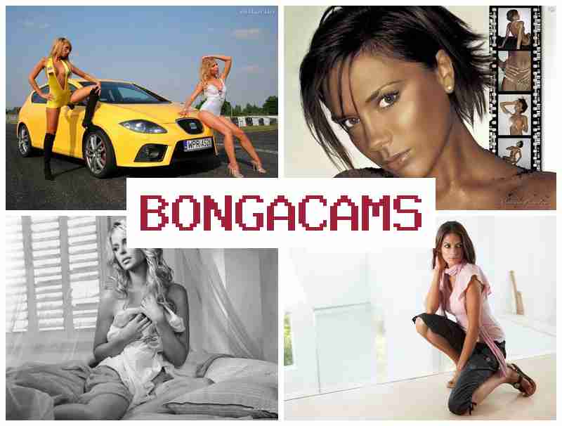 BONGA CAJS 🔶 Free Beautiful Sex Videos & Film Sex Party